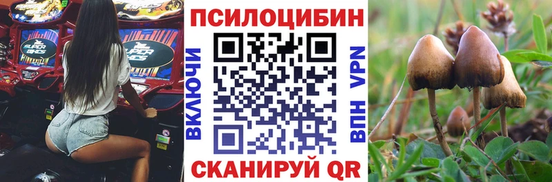 Псилоцибиновые грибы Magic Shrooms  Спасск-Рязанский 